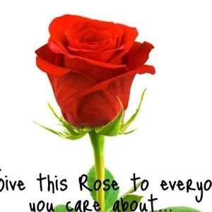 Meet your Posher, Eladia